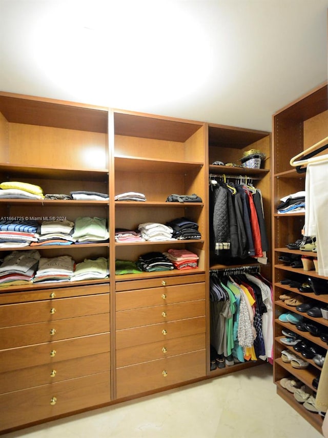 view of spacious closet