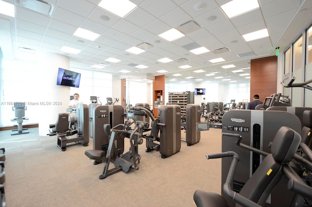 exercise room featuring a drop ceiling and light colored carpet