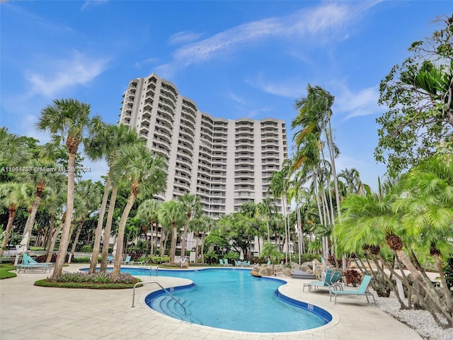 view of pool featuring a patio area