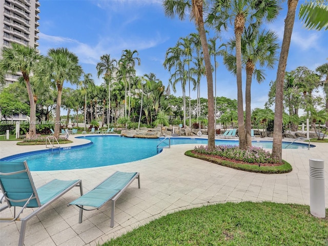 view of pool featuring a patio