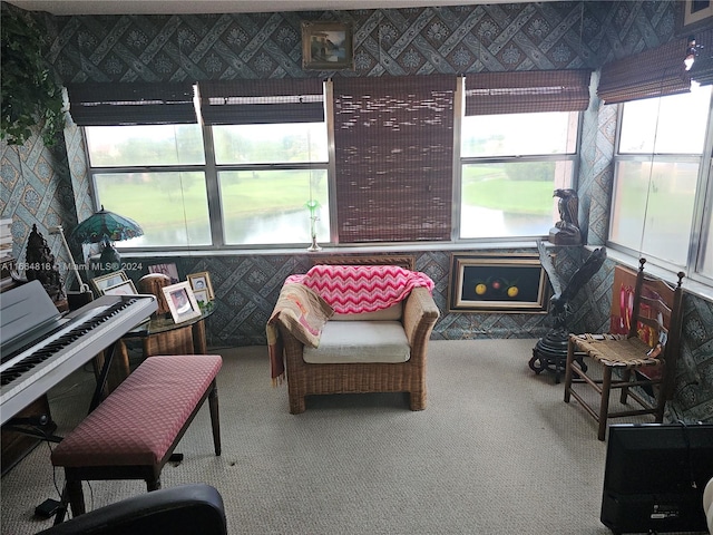 interior space with carpet and plenty of natural light