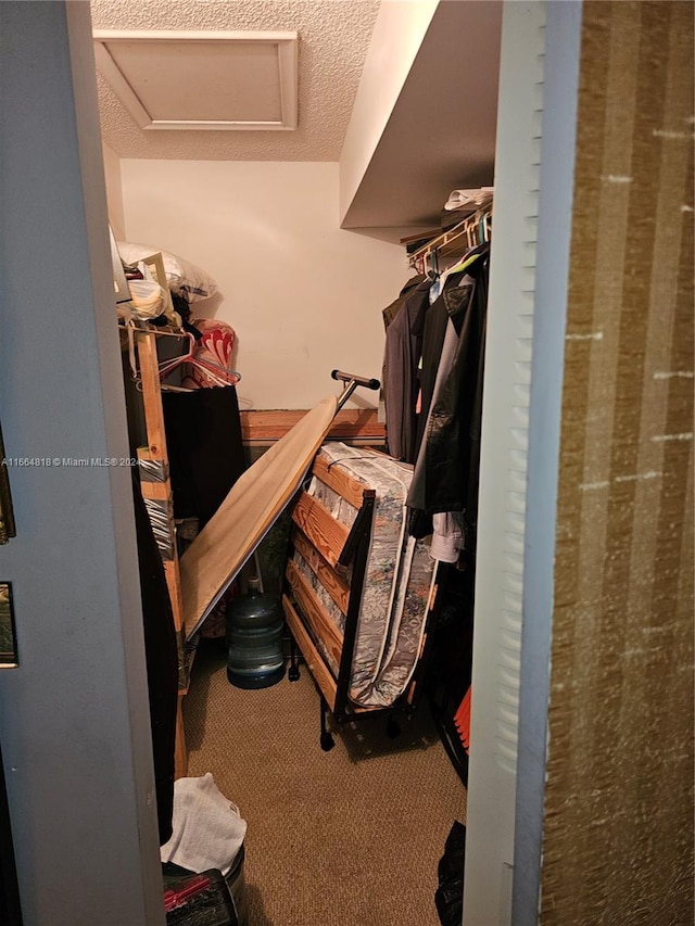 spacious closet with carpet floors