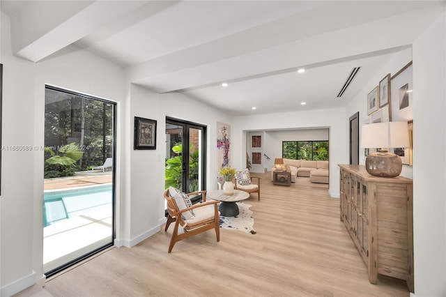 interior space featuring light wood-type flooring and plenty of natural light