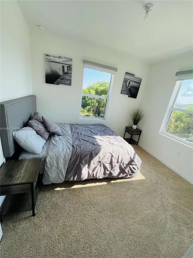 bedroom featuring carpet floors and multiple windows