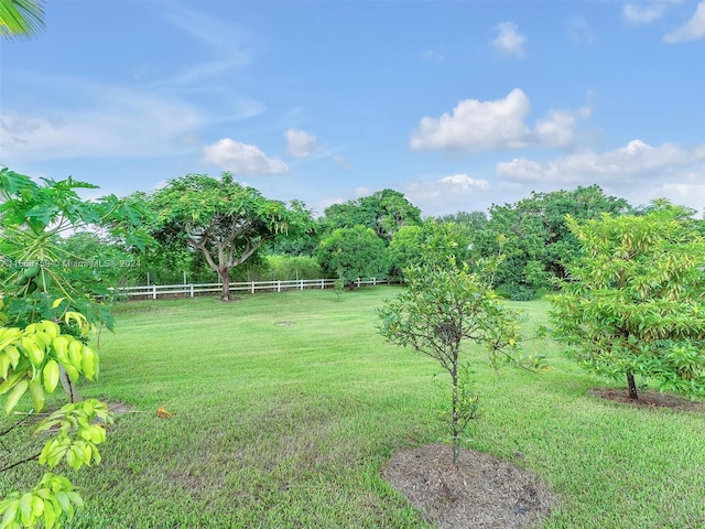 view of yard featuring a rural view