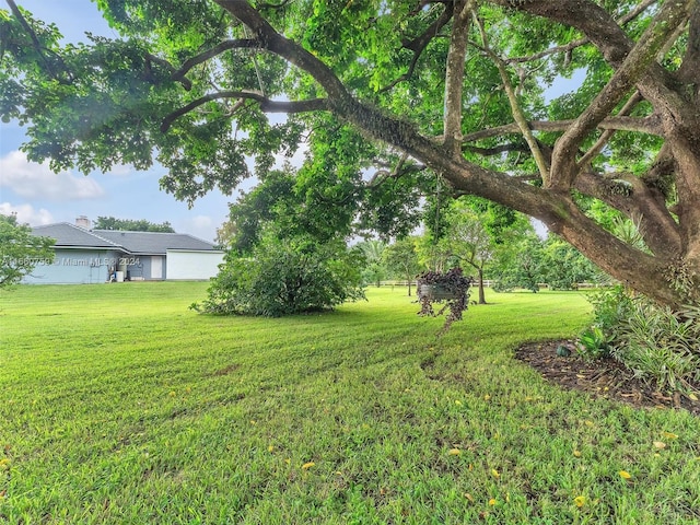 view of yard