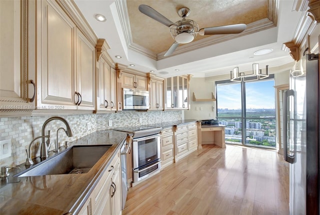 kitchen featuring appliances with stainless steel finishes, a tray ceiling, ornamental molding, and sink