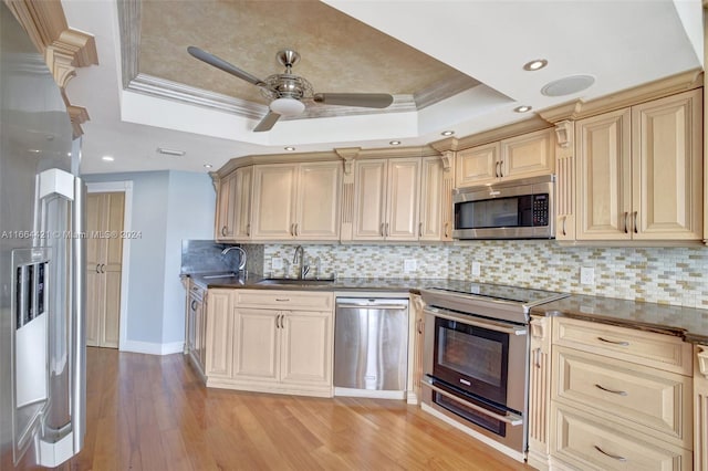 kitchen featuring a raised ceiling, crown molding, sink, and appliances with stainless steel finishes