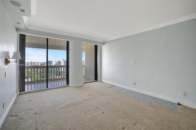 carpeted empty room with crown molding