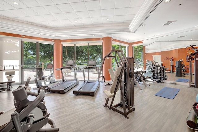 exercise room featuring a raised ceiling, ornamental molding, and light hardwood / wood-style flooring