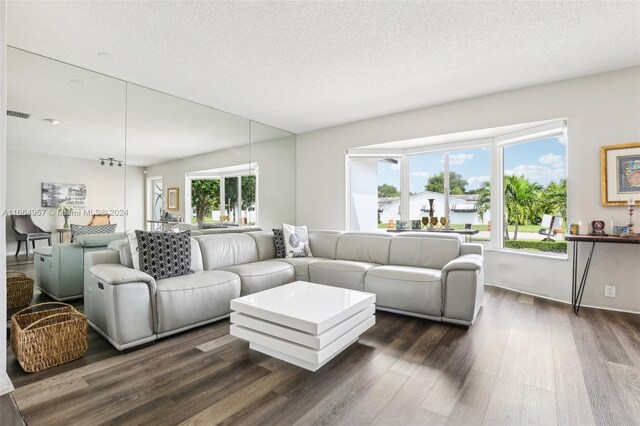 living room featuring a textured ceiling, dark wood-type flooring, and plenty of natural light