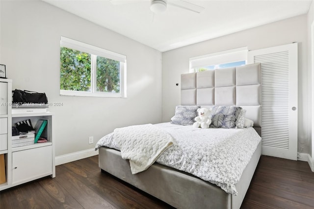 bedroom with multiple windows, dark hardwood / wood-style floors, and ceiling fan