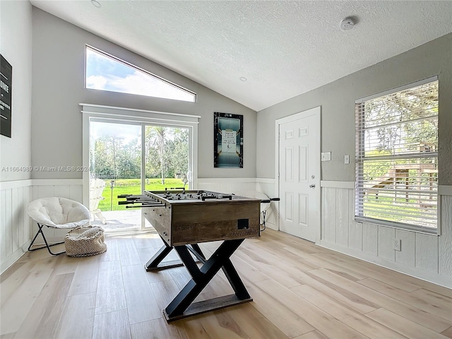 interior space featuring lofted ceiling, light hardwood / wood-style flooring, and a wealth of natural light