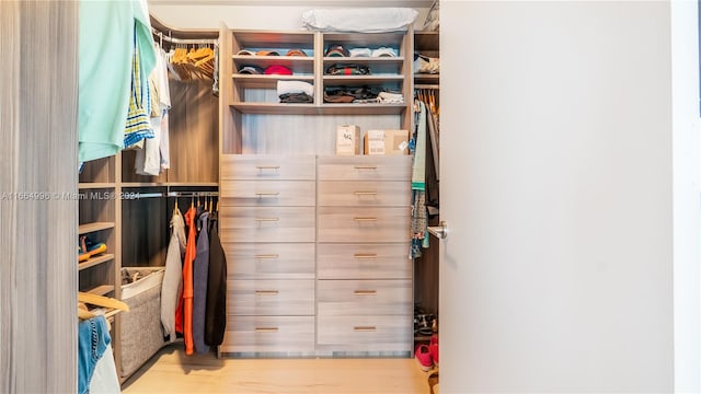 walk in closet with light hardwood / wood-style floors