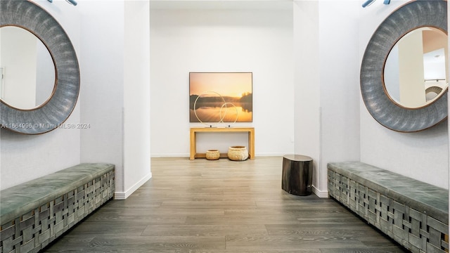 hall featuring hardwood / wood-style floors