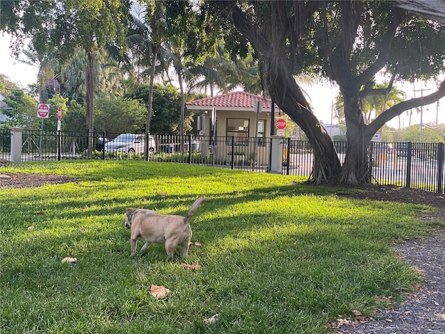 view of yard