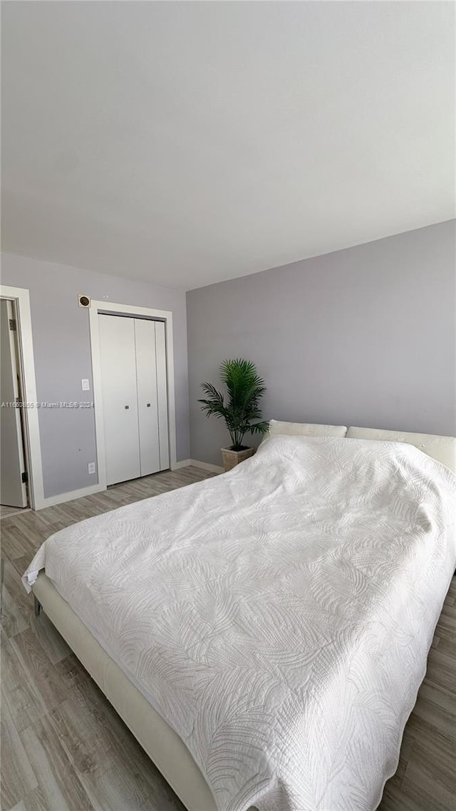 bedroom featuring a closet and hardwood / wood-style floors