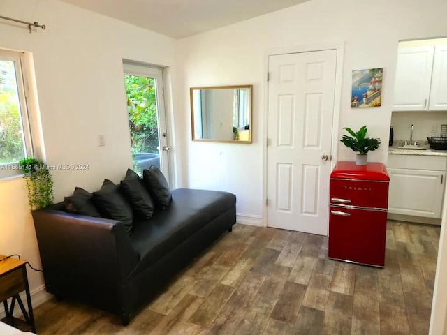 living room featuring dark hardwood / wood-style flooring, sink, and a wealth of natural light