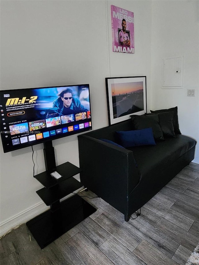 living room featuring wood-type flooring