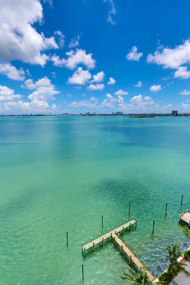 dock area featuring a water view