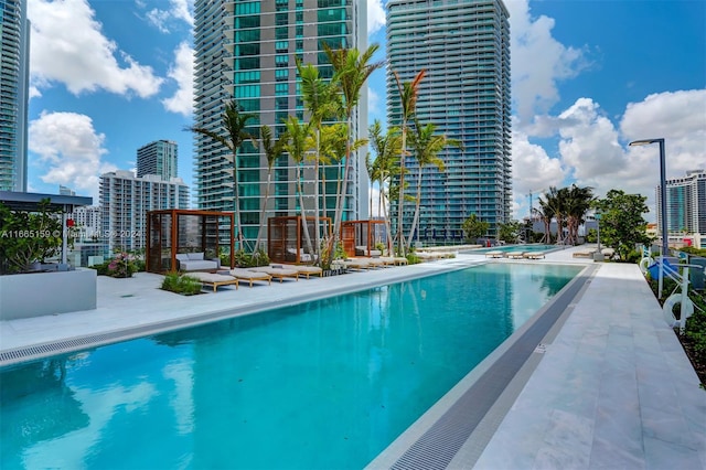 view of pool with a patio