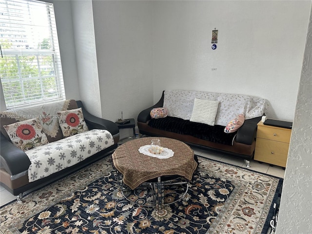 tiled living room with a healthy amount of sunlight