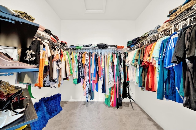 spacious closet featuring carpet floors