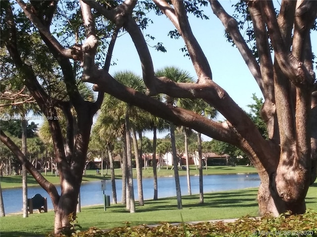 view of property's community featuring a water view and a yard