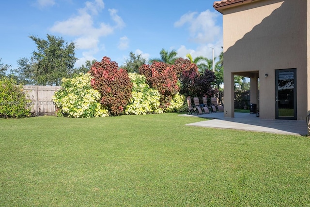 view of yard with a patio area