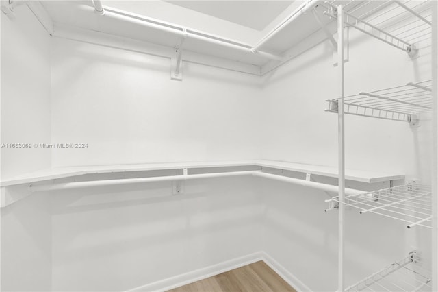 spacious closet with hardwood / wood-style flooring