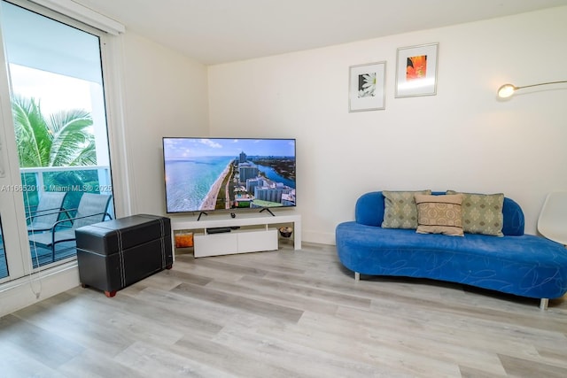 living room with light hardwood / wood-style floors