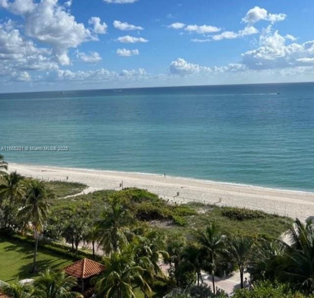 water view featuring a beach view