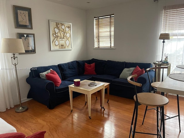 living room with hardwood / wood-style flooring and a healthy amount of sunlight