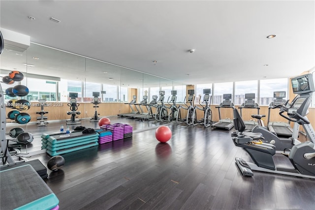 gym featuring wood-type flooring