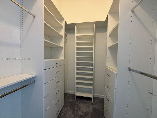 walk in closet with dark colored carpet