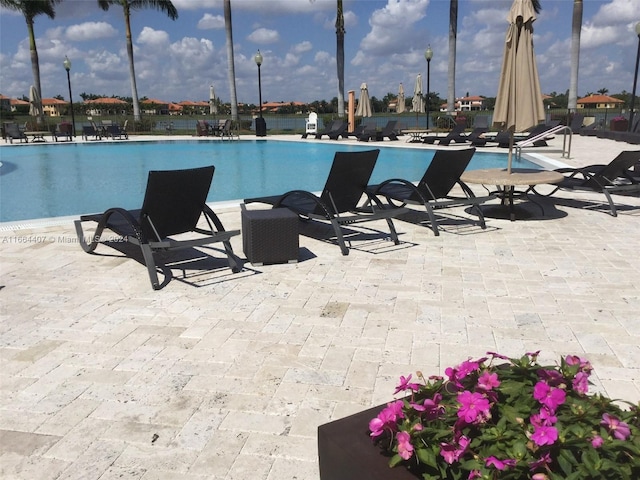 view of swimming pool with a patio area