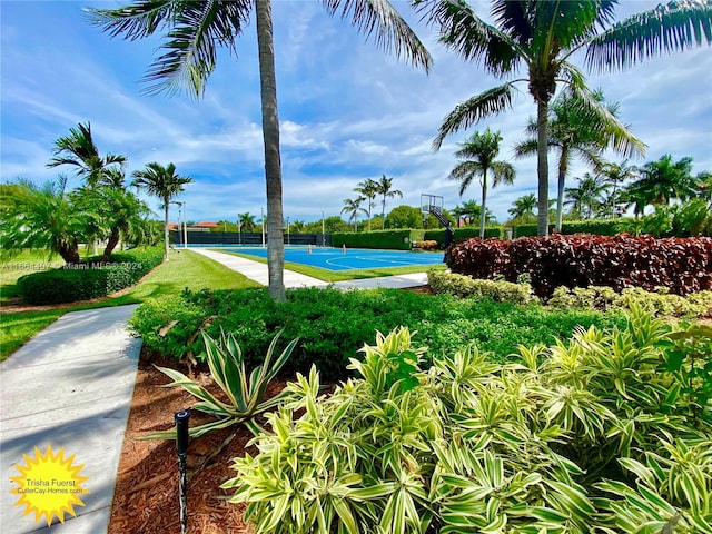 view of pool featuring basketball hoop