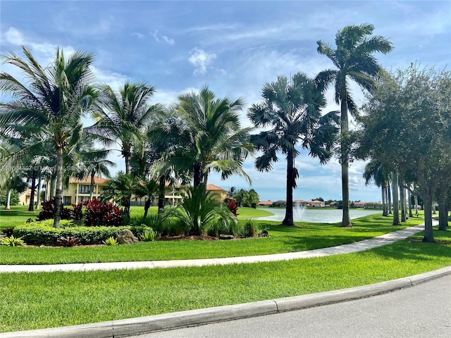 surrounding community featuring a water view and a lawn