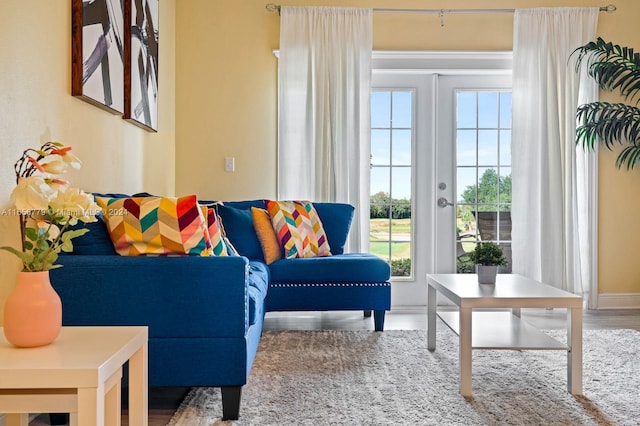 living room featuring french doors and hardwood / wood-style floors