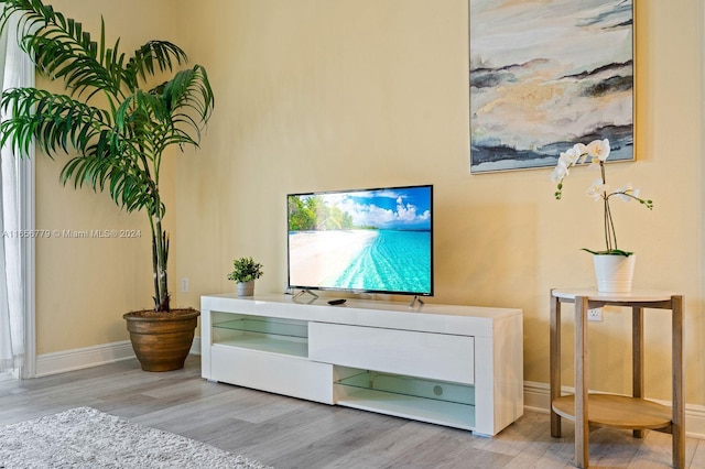 details featuring hardwood / wood-style flooring