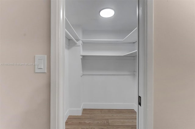 spacious closet featuring wood-type flooring