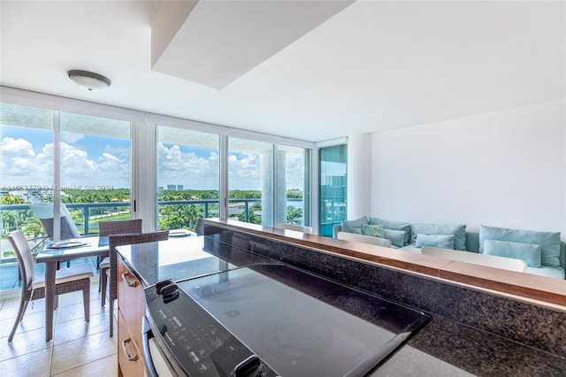 kitchen featuring expansive windows and range with electric stovetop