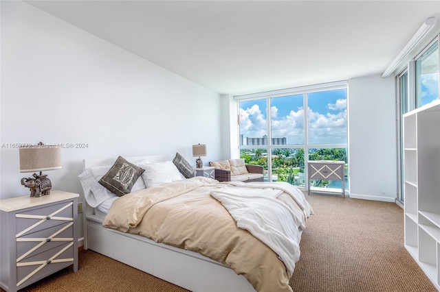 bedroom featuring carpet floors