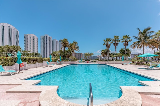 view of swimming pool featuring a patio