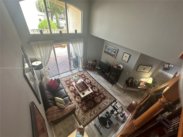 living room featuring a towering ceiling and hardwood / wood-style flooring