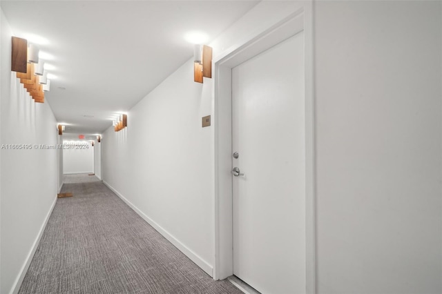 hallway with carpet flooring