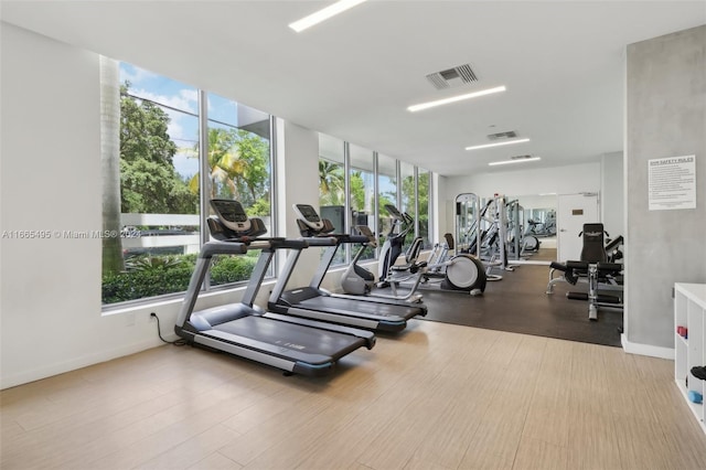 exercise room featuring hardwood / wood-style floors