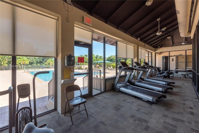 exercise room featuring carpet, ceiling fan, and high vaulted ceiling