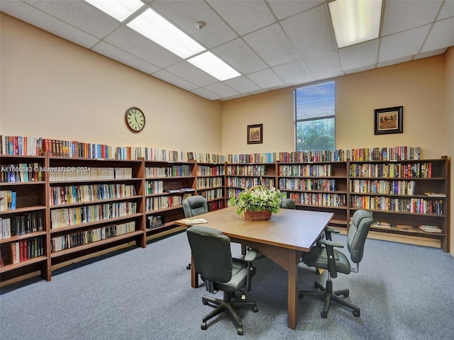 carpeted office space with a drop ceiling