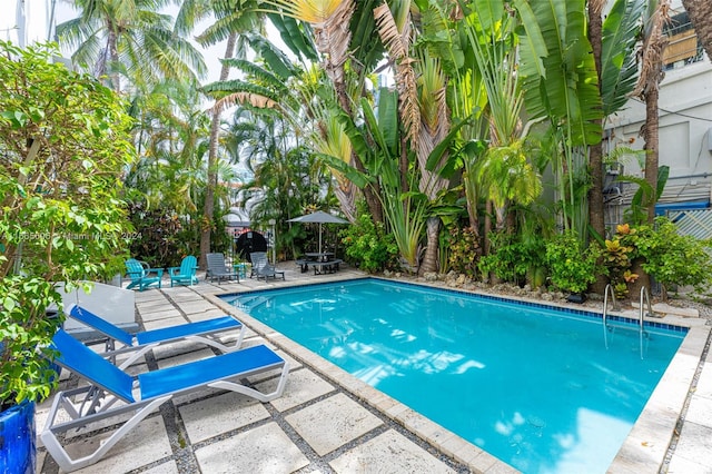 view of pool with a patio area